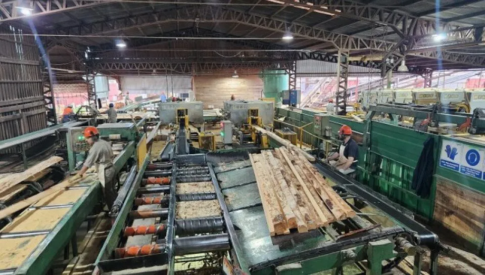 yerbamate-lasmarias-medium-size