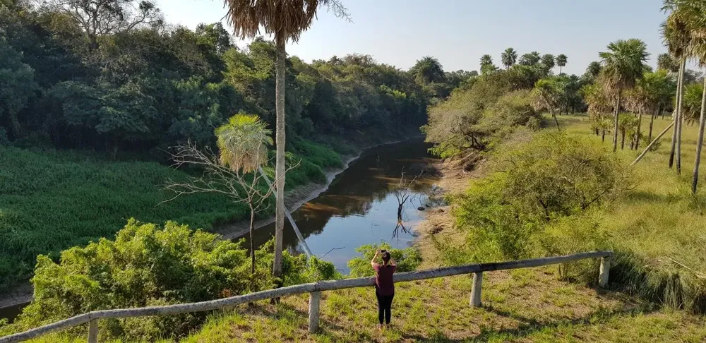 PN-Pilcomayo