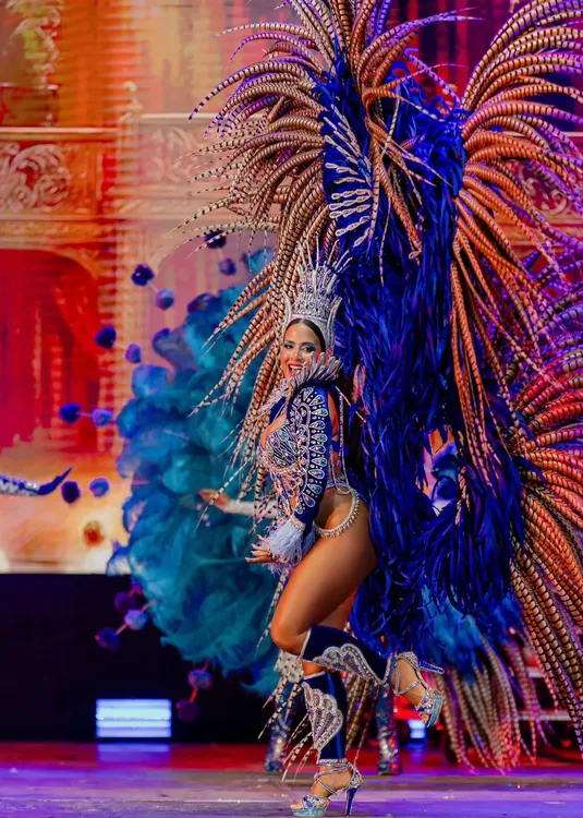 WhatsApp Image 2026-02-06 at 11.46.27