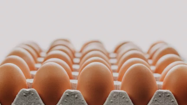 594604-640x360