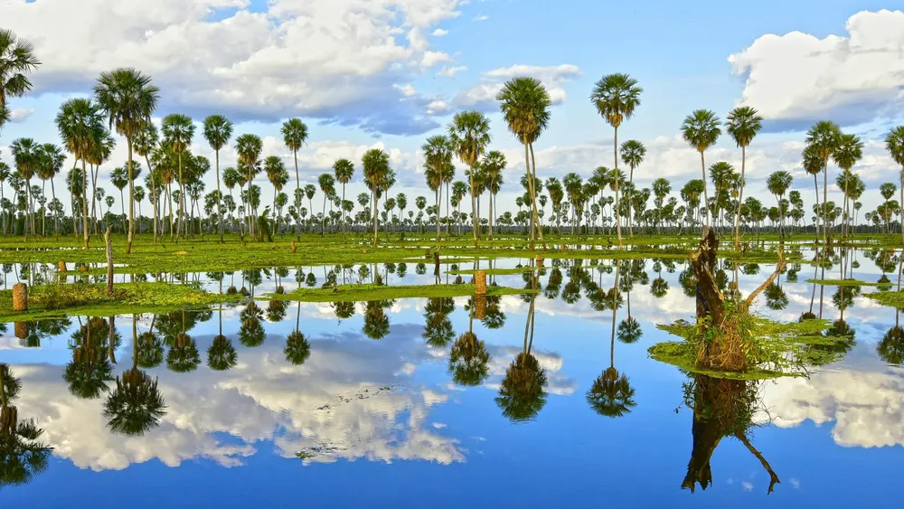 paisaje-banado-formosa