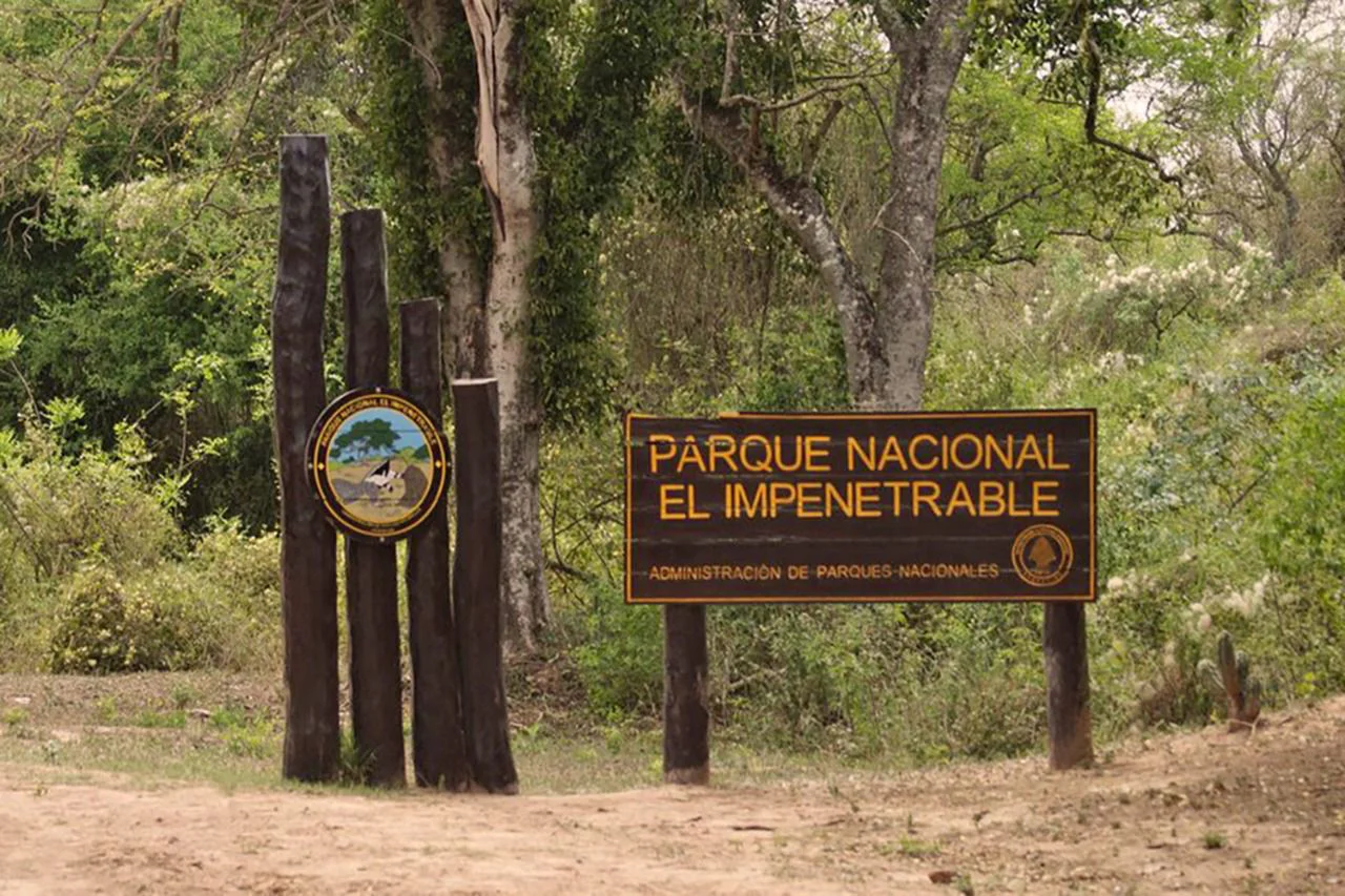 camping_la_fidelidad_011