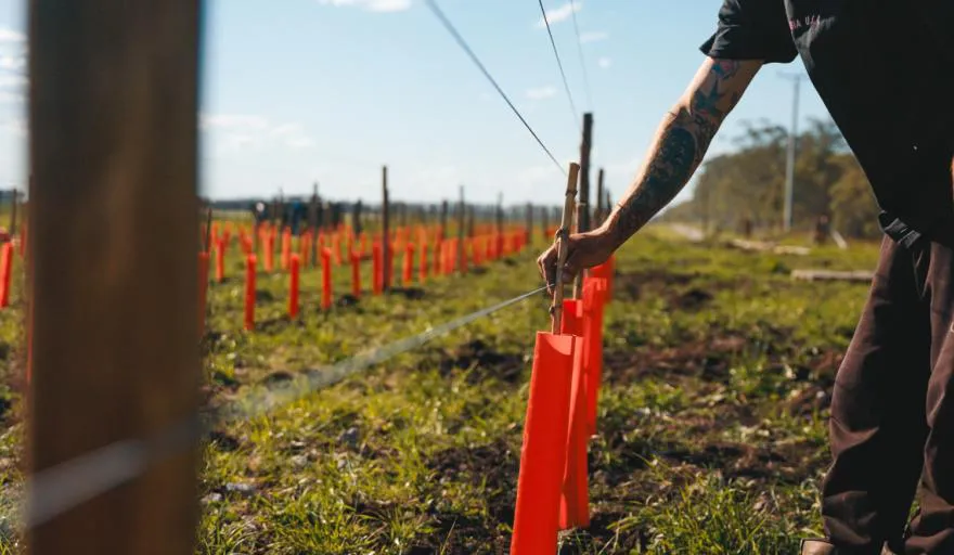 3fed79d91fc7ae29d0e0701ef61aa193dad431bf